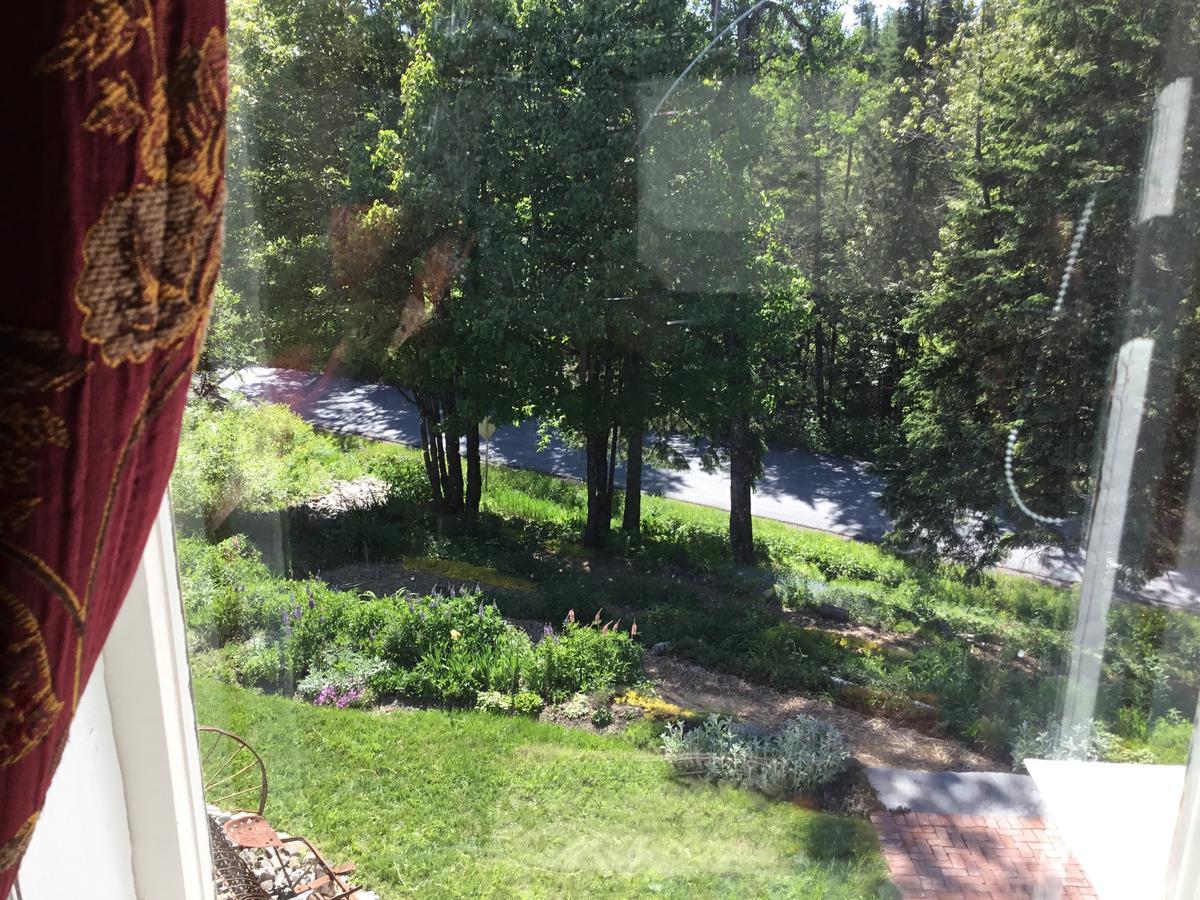 Auberge Taylor Manor Сен-Жорж Экстерьер фото